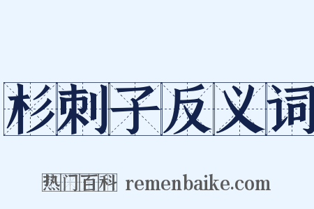 杉刺子反义词是什么意思的图片